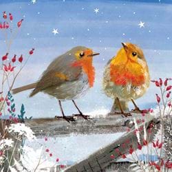 Wondering Robins - Personalised Christmas Card