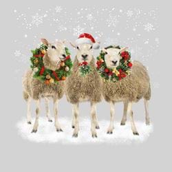 A Trio of Sheep - Personalised Christmas Card
