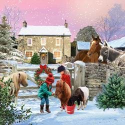 Feeding the Pony - Personalised Christmas Card