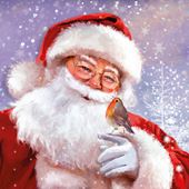 Santa and Friend - Personalised Christmas Card