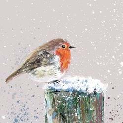 Rustic Robin - Personalised Christmas Card