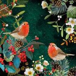 Robins Mistletoe - Personalised Christmas Card