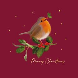 Friendly Robin - Personalised Christmas Card