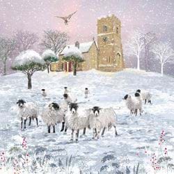 Sheep Flock - Personalised Christmas Card