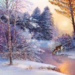 Winter Sunset - Personalised Christmas Card