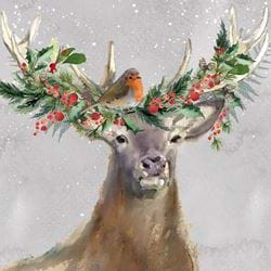 Stag and Robin - Personalised Christmas Card