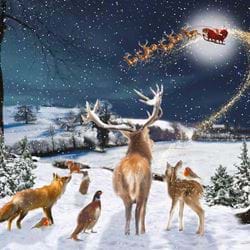 Where's Santa - Personalised Christmas Card