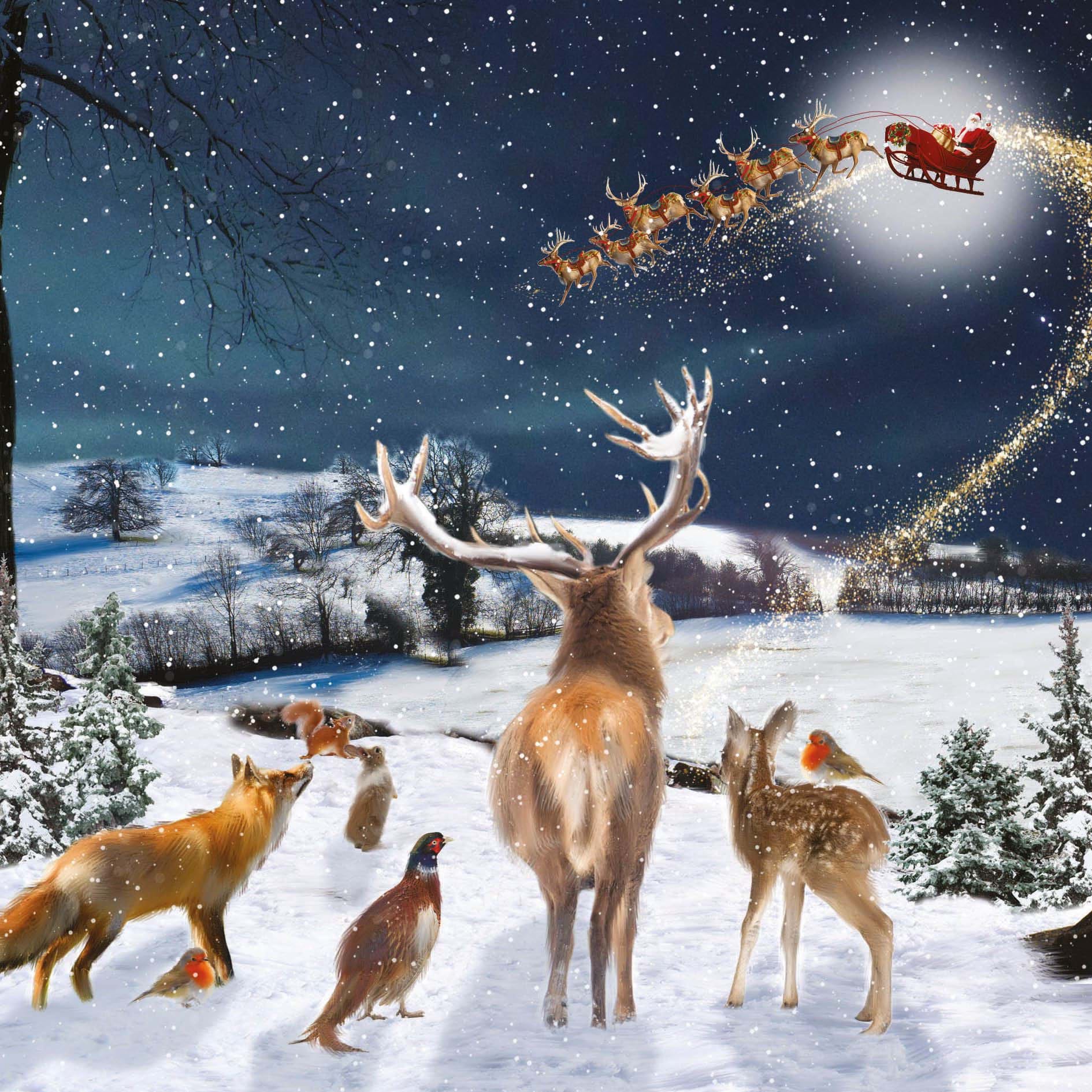 Where's Santa - Personalised Christmas Card