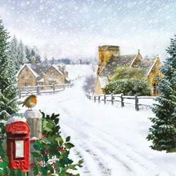 Village Robin - Personalised Christmas Card