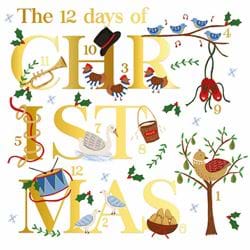 12 Days - Personalised Christmas Card