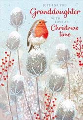 Robin Granddaughter Christmas Card