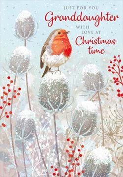 Robin Granddaughter Christmas Card