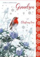 Robin on Thistles Grandson Christmas Card