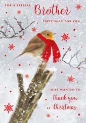 Robin Brother Christmas Card