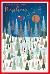 Sleigh Ride Nephew Christmas Card