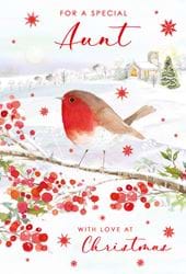 Robin Aunt Christmas Card