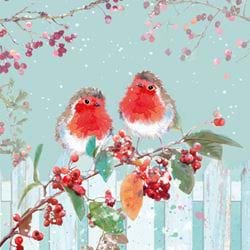 Robin Couple - Personalised Christmas Card