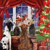 Waiting for Santa Christmas Card