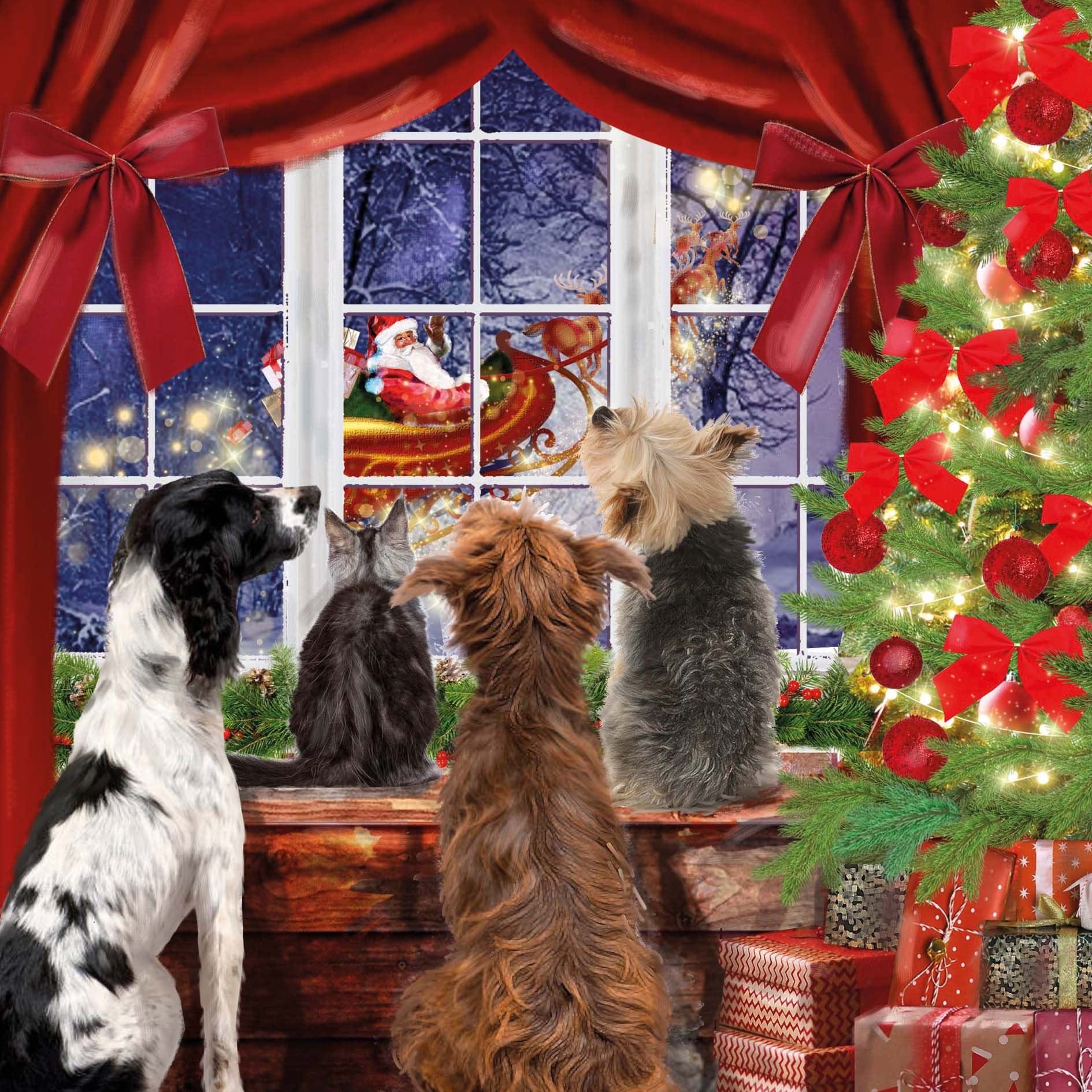 Waiting for Santa Christmas Card