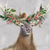 Stag and Robin Christmas Card