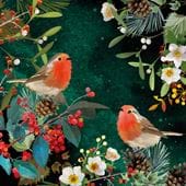 Robins Mistletoe Christmas Card