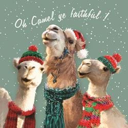 Camel Ye Faithful, Diabetes UK Christmas Cards - Pack of 10