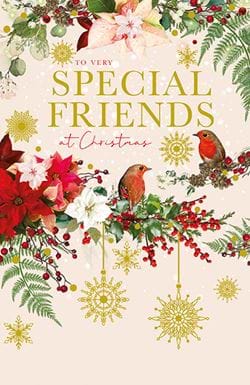 Robins Special Friends Christmas Card