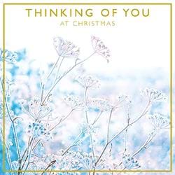 Cow Parsley Thinking of You Christmas Card