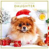 Pomeranian Daughter Christmas Card
