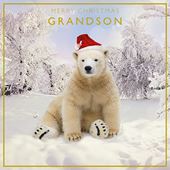 Polar Bear Grandson Christmas Card