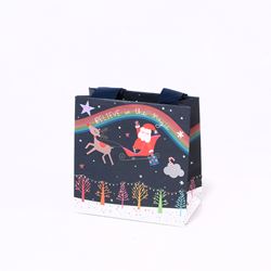 Believe in the Magic Small Christmas Gift Bag