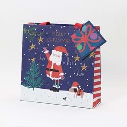 Santa Medium Christmas Gift Bag