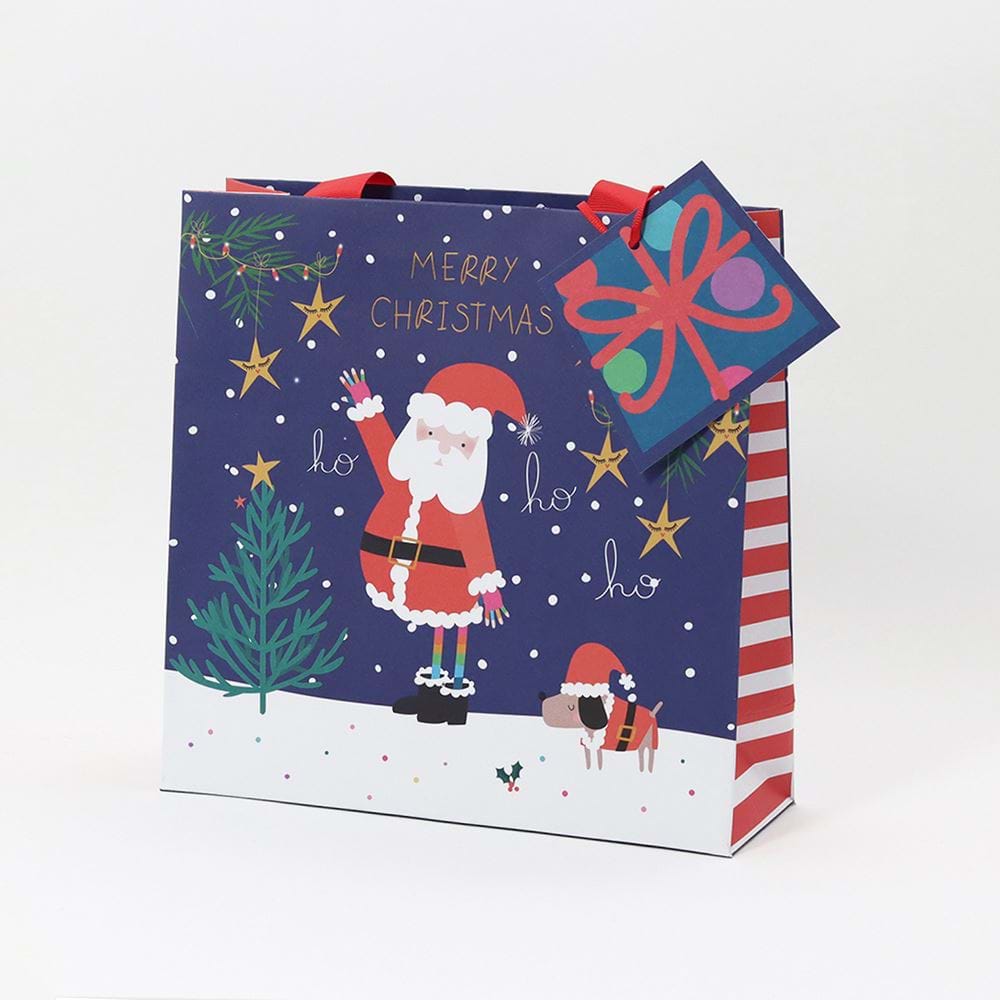 Santa Medium Christmas Gift Bag