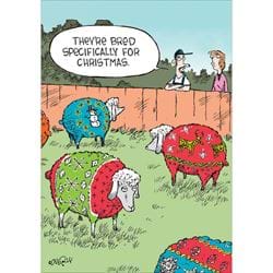 Woolly Jumpers Christmas Card
