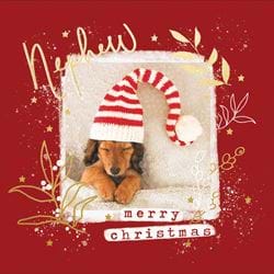 Puppy Nephew Christmas Card