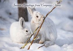 Snowshoe Hares - Front Personalised Christmas Card