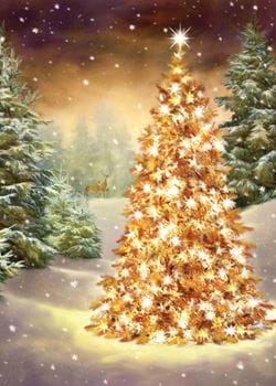 Star of the Show - Personalised Christmas Card