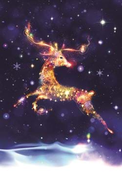Starlit Reindeer - Personalised Christmas Card