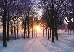 Winter Evening - Personalised Christmas Card