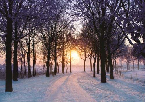 Winter Evening - Personalised Christmas Card