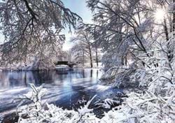Winter Wonderland - Personalised Christmas Card