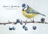 Blue Tit and Frosted Berries - Front Personalised Christmas Card