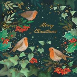 Christmas Robins - Personalised Christmas Card