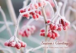 Frosted Berries - Front Personalised Christmas Card