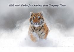 Leaping Through the Snow - Front Personalised Christmas Card