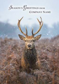 Noble Stag - Front Personalised Christmas Card