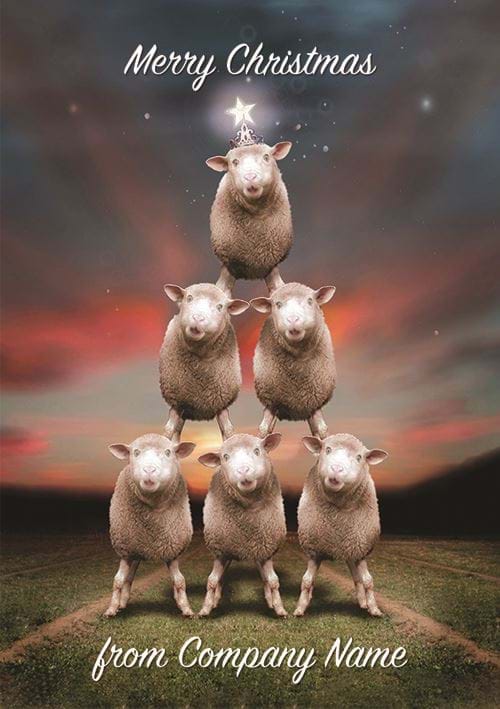 Oh Christmas Sheep - Front Personalised Christmas Card