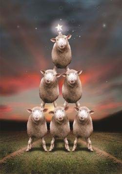 Oh Christmas Sheep - Personalised Christmas Card
