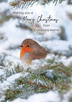 Robin in a Fir Tree - Front Personalised Christmas Card