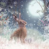 Midnight Hare, MSF Christmas Cards - Pack of 10